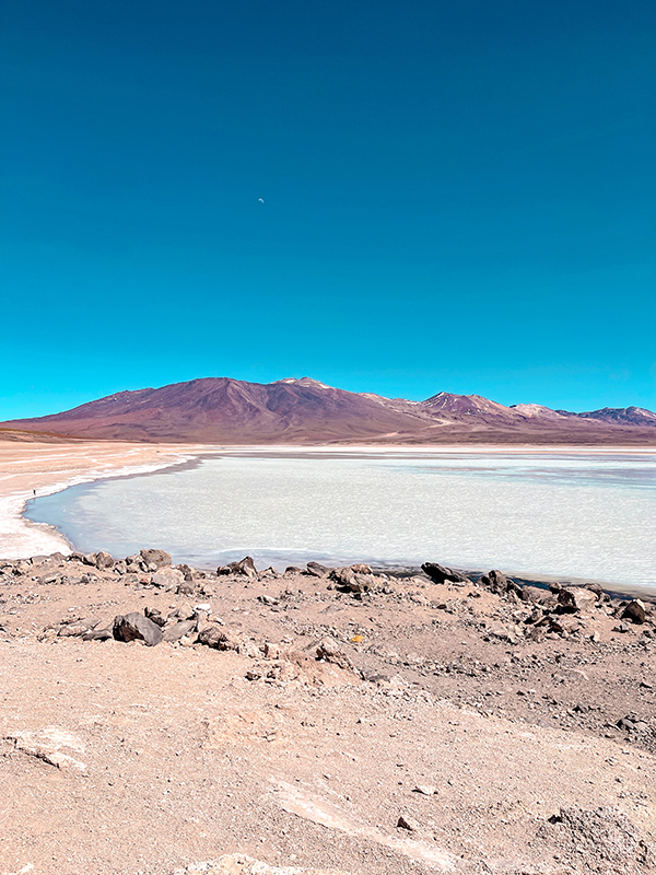 Laguna Blanca come organizzare un viaggio al Salar de Uyuni